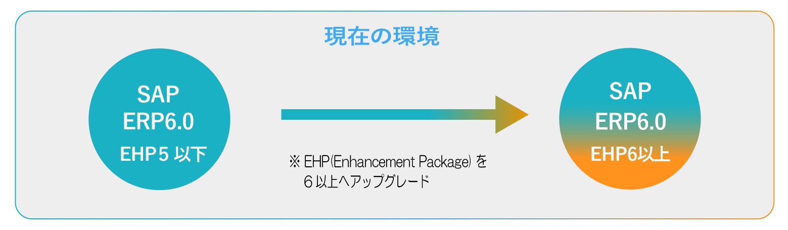 SAP ERP 6.0を継続利用する